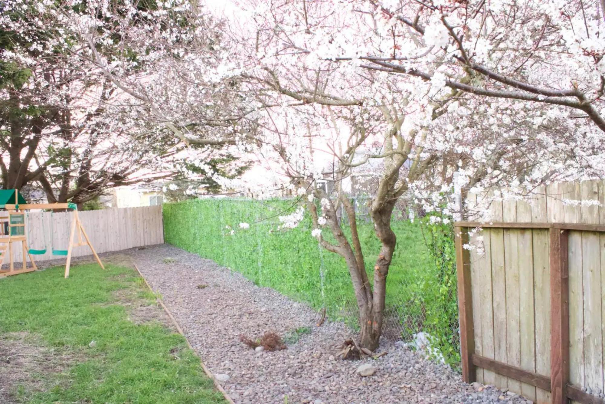 Private Home - Playground, Jumping Mat, Bbq, Darts, Firepit, Gazebo, 4 Smart Tvs, White Cotton Bedding, - The Redwood Cul-De Sac Beach Retreat Crescent City Exteriér fotografie